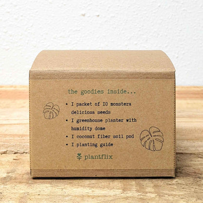 Grow a Monstera Seed Kit